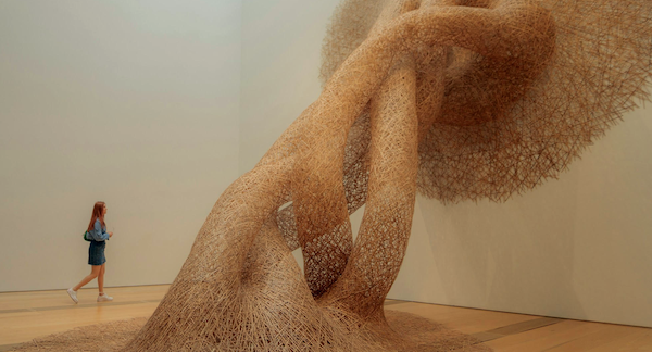 Longevity Medizin in Deutschland 2026